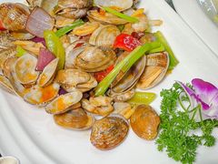 -南燕湾渔家码头