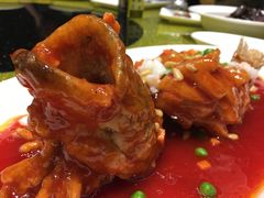 松子桂鱼-申宴酒楼(王子百货店)