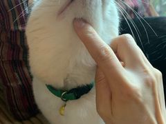 -BUND·FIVE外滩5号(天际店)