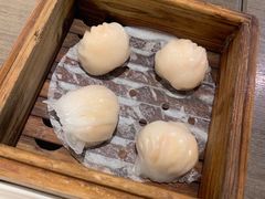 -添好运(武商MALL店)