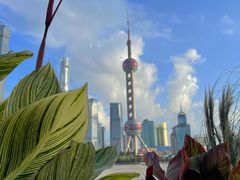 -北外滩滨江绿地