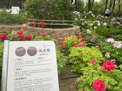 -太阳宫公园