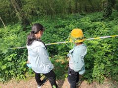 -紫金山山顶公园