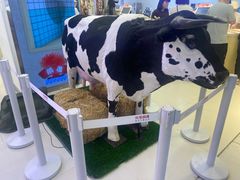 -红星前进面包牛奶公司(君太店)