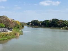 -海珠湖公园
