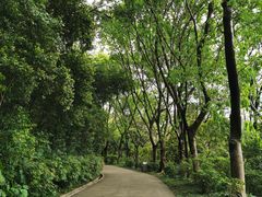 -广州雕塑公园