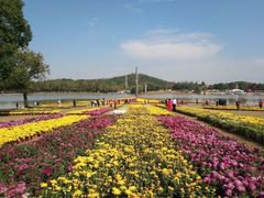 -上海月湖雕塑公园