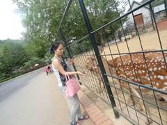 -大连森林动物园