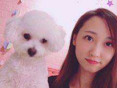 -百好乐宠物友好餐厅(朝外大街店)