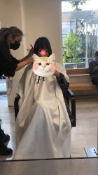 -Hair  Gallery