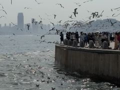 -星海广场