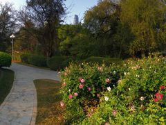 -人民公园(罗湖区)