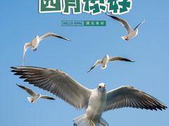 -1982农场