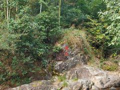 -众神白水涧景区