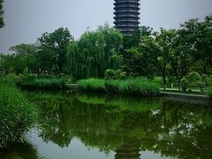 -西海子公园