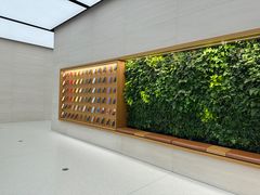 -Apple零售店(苏州店)