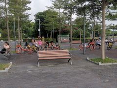 -深圳湾公园-停车场