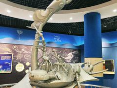 -国家自然博物馆