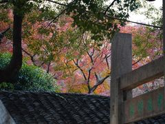 -惠山古镇·寄畅园