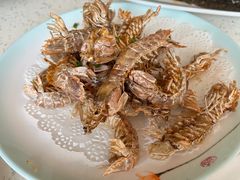 -巧克力渔家.小船海鲜胶东菜(万平口店)