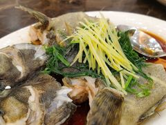 清蒸石斑-蚝专家(北滘店)