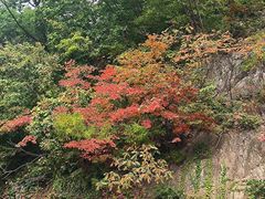-本溪关山湖风景区