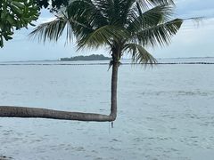 -巴拉湾海滩