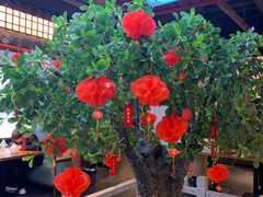 -三凤酒家·百年无锡菜(清扬茂业店)