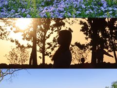 -上海辰山植物园