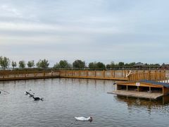 -亮哥油炸(康懿家园店)