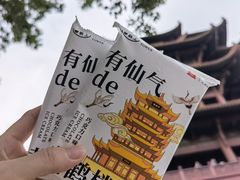 -黄鹤楼公园(黄鹤楼)