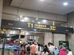 -广州白云国际机场-T2航站楼