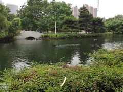 -长白岛森林公园