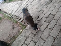 -猎鹰谷实弹射击俱乐部
