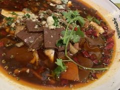 -蝶园·装修中(BFC外滩金融中心店)