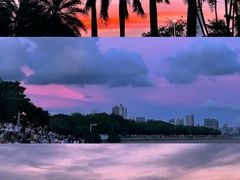 -深圳湾公园(南山区)