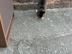 -潜口民宅博物馆