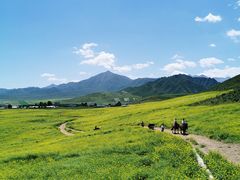 -扁都口生态休闲旅游区