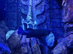 -波塞冬旅游度假区