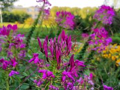 -长春公园(普阳街道)