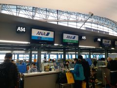 -全日本空输株式会社(上海办事处)