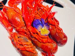 -花潮料理艺食馆(成都万象城店)