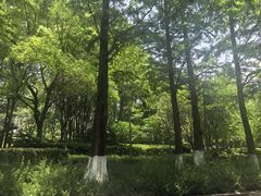 -苏州河梦清园环保主题公园