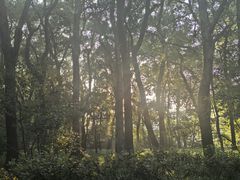 -文武王氏烧饼·无矾油条(西溪路店)
