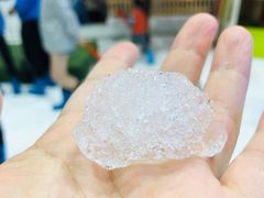 -Mr·Kuma酷么先生雪之乐园
