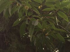 -河南食府(人民路店)