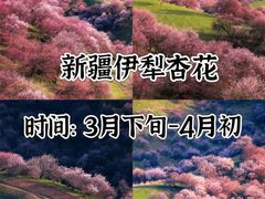 -伊犁河风景区