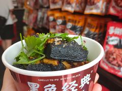 -黑色经典臭豆腐·湖南特产(坡子街特产局店)