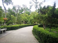 -莲湖公园
