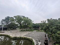 -江心屿景区